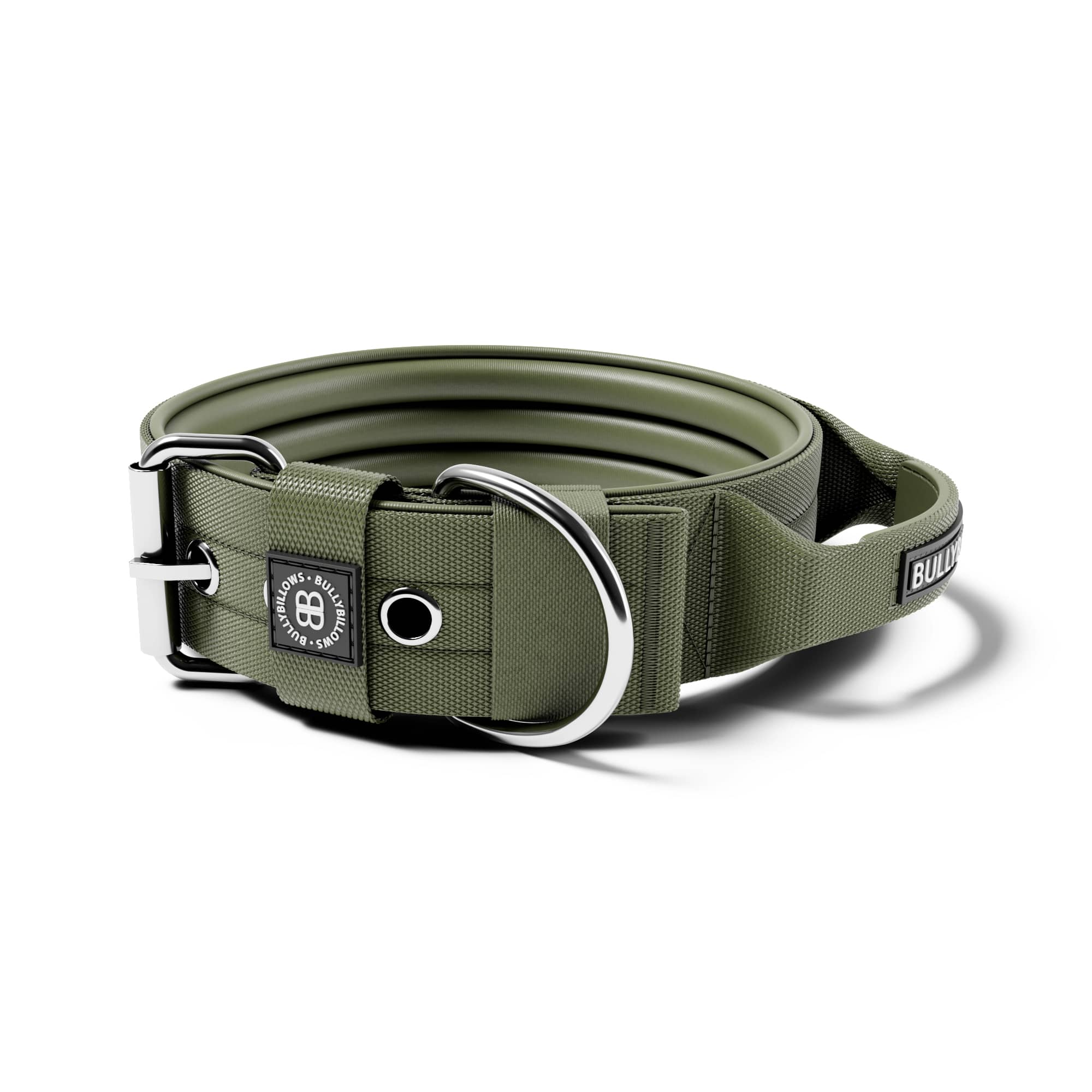 Where to buy dog collar clearance buckles