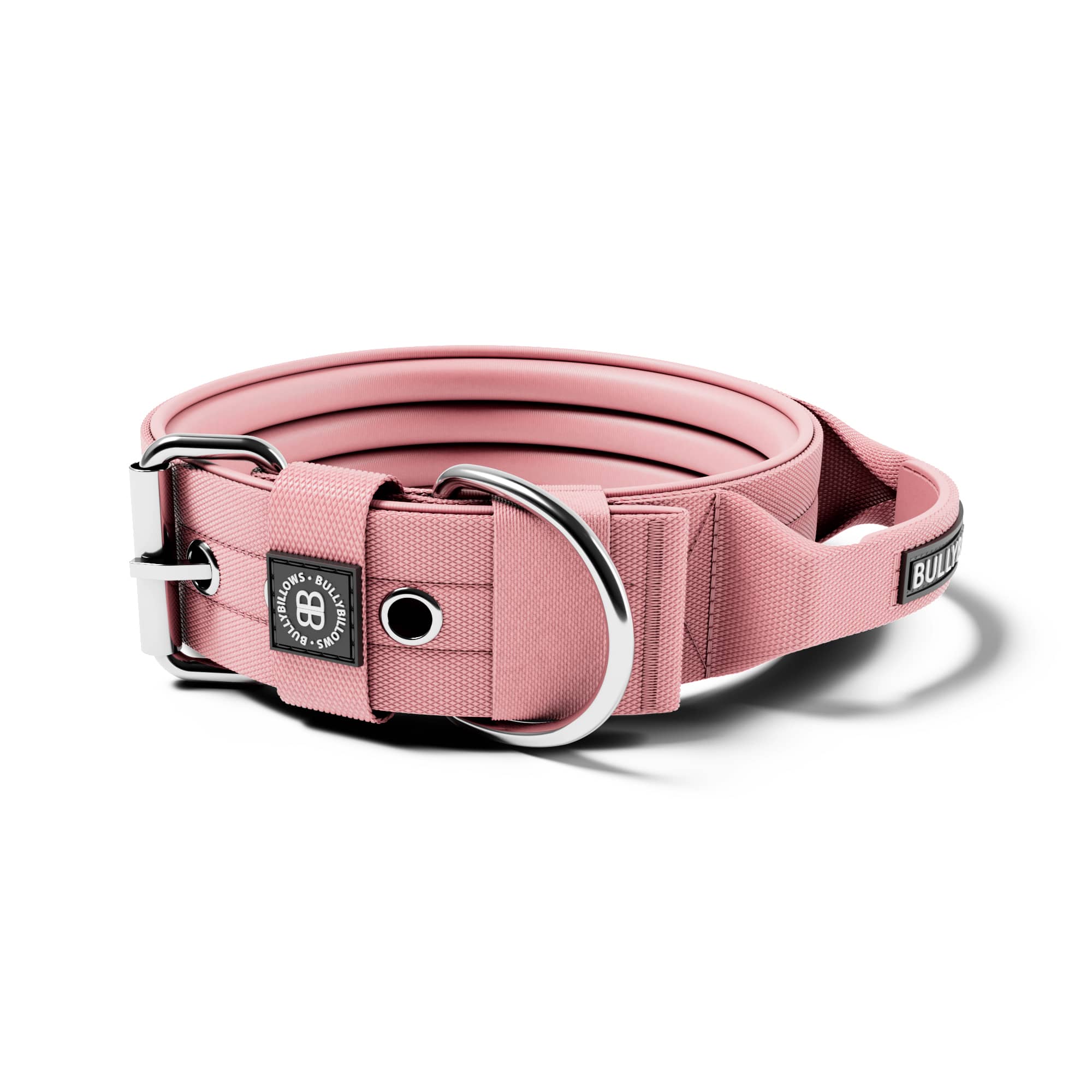 Dog collar online buckle hardware