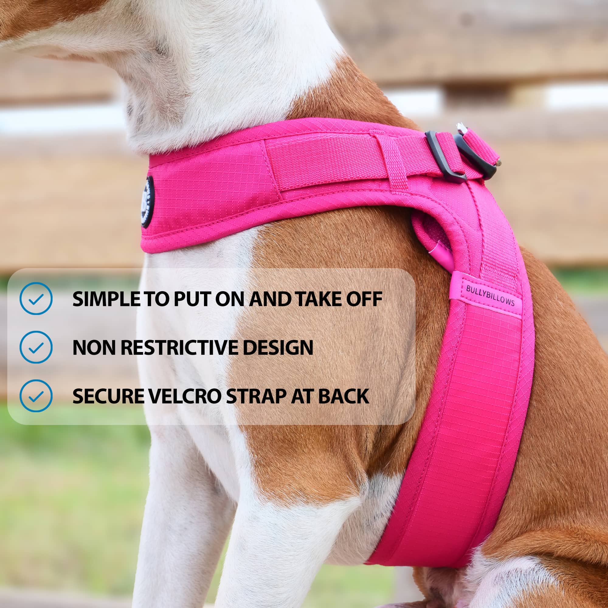 Simply dog outlet harness size medium