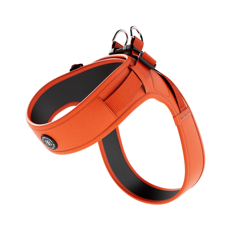 Fashion Designer Dog collar handmade adjustable 1 or 5/8 wide or lea
