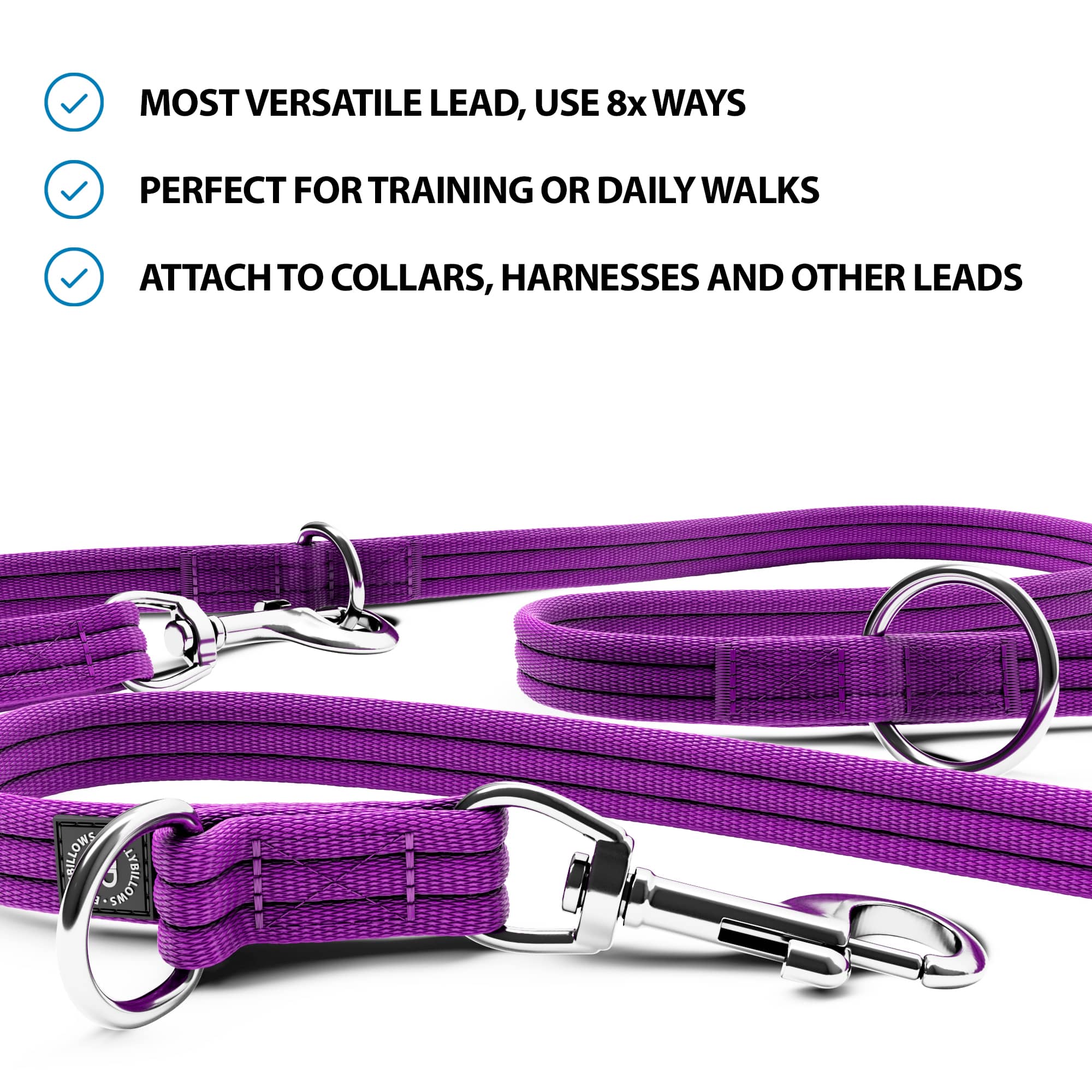 Purple dog leashes best sale