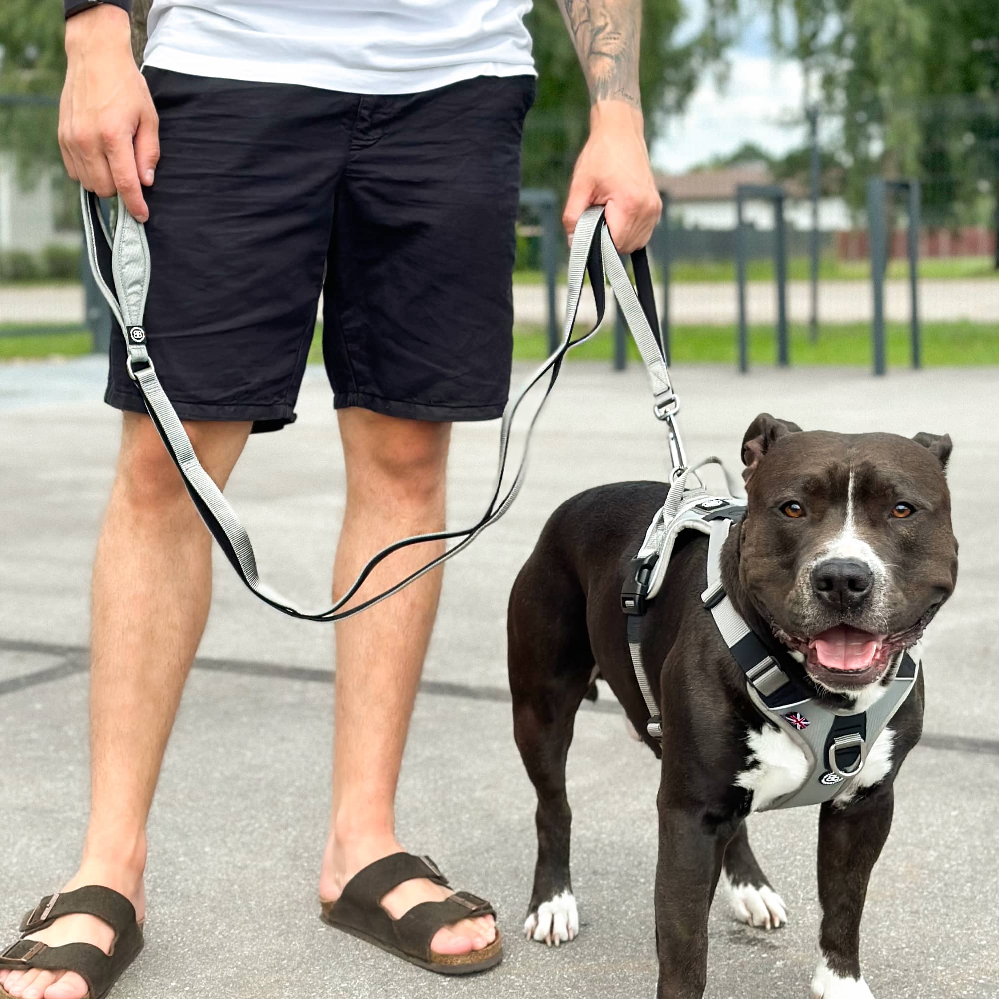 Dog leash deals with multiple handles