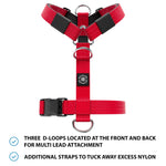 Mini Training Anti Pull TRI-Harness® | Small Breeds - Red