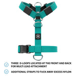 Mini Training Anti Pull TRI-Harness® | Small Breeds - Turquoise