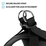 Step in Harness | Series 2 - Lightweight - Black