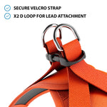 Step in Harness | XS-M Breeds - Orange