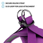 Step in Harness | XS-M Breeds - Purple