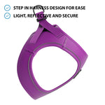 Step in Harness | Series 2 - Lightweight - Purple