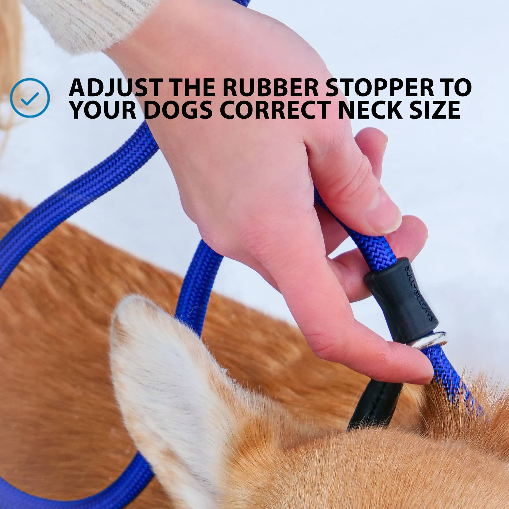 Dog slip best sale leads stop pulling