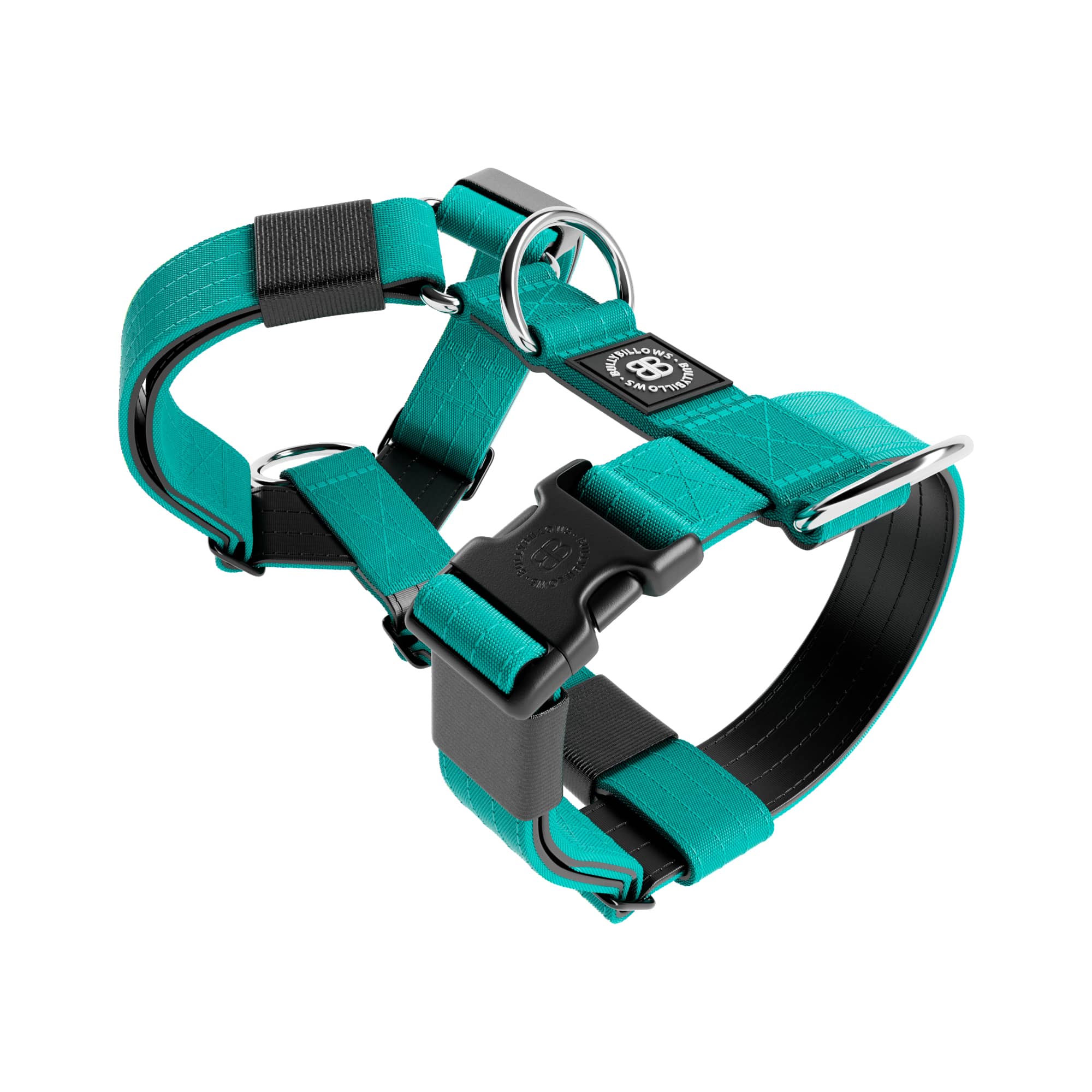 Turquoise sales dog harness