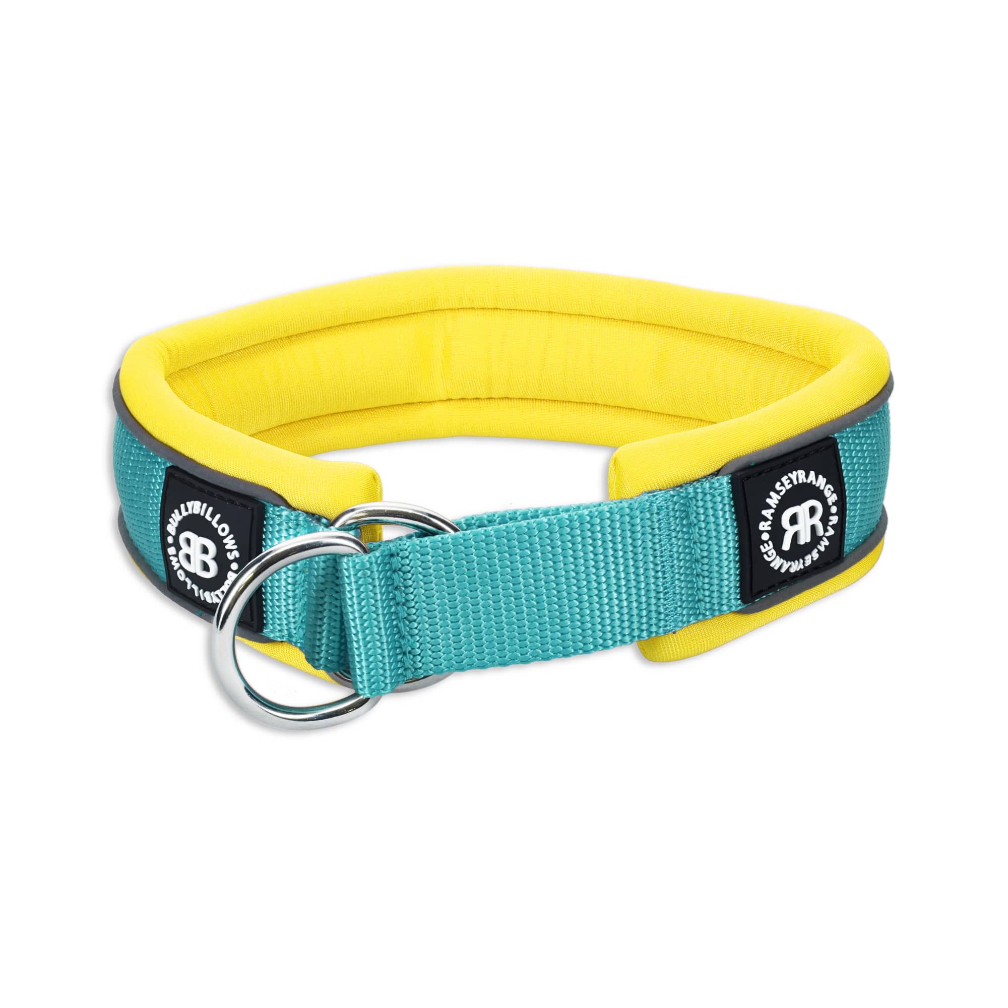 Blue and clearance yellow dog collar