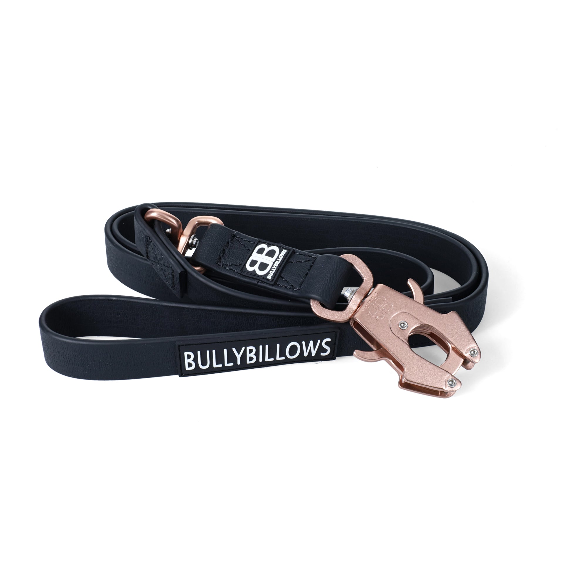 Rose gold dog 2024 collar and lead