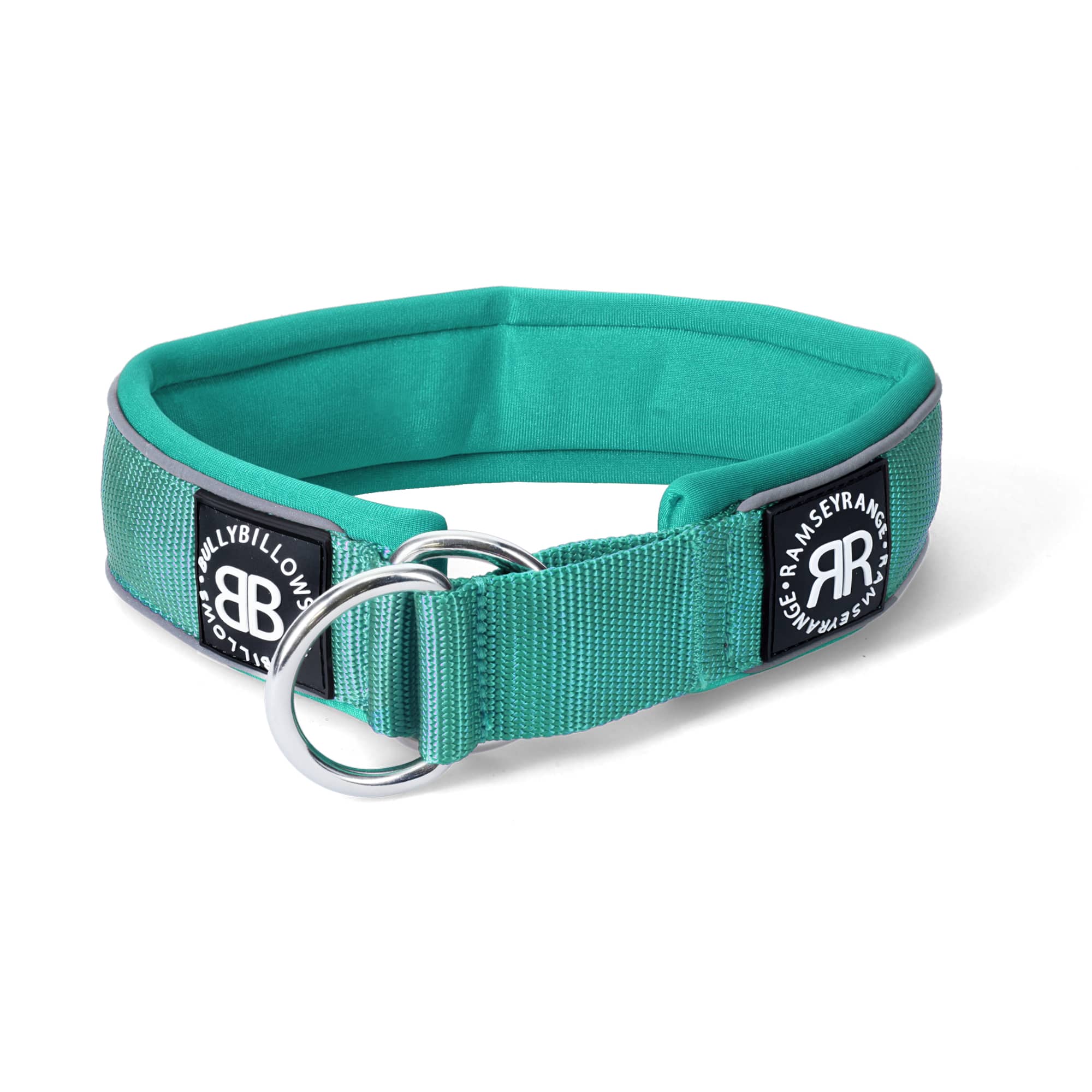 5cm Slip on Collar | Soft Padded & Reflective - Turquoise v2.0