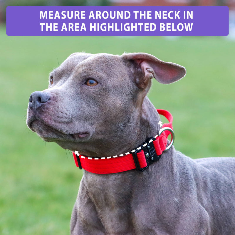 2.5cm Combat® Collar  With Handle & Rated Clip - Magenta v2.0