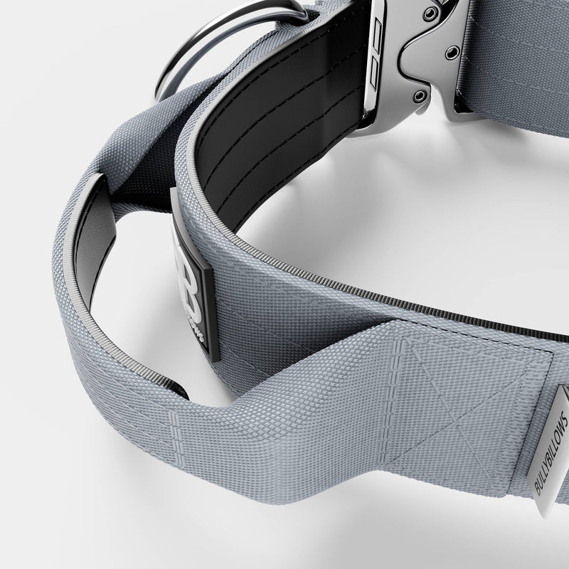 5cm Combat® Collar  With Handle & Rated Clip - PLATINUM Metal Grey v2 –  BullyBillows