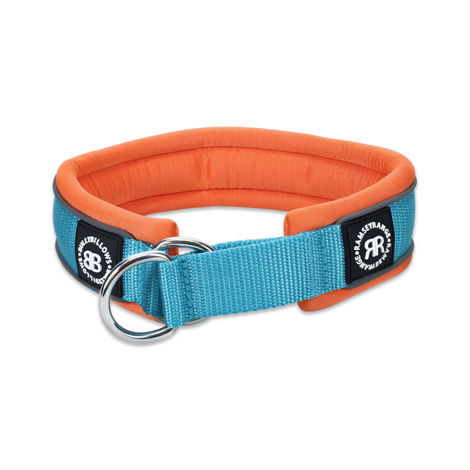 Orange and blue dog collar hotsell