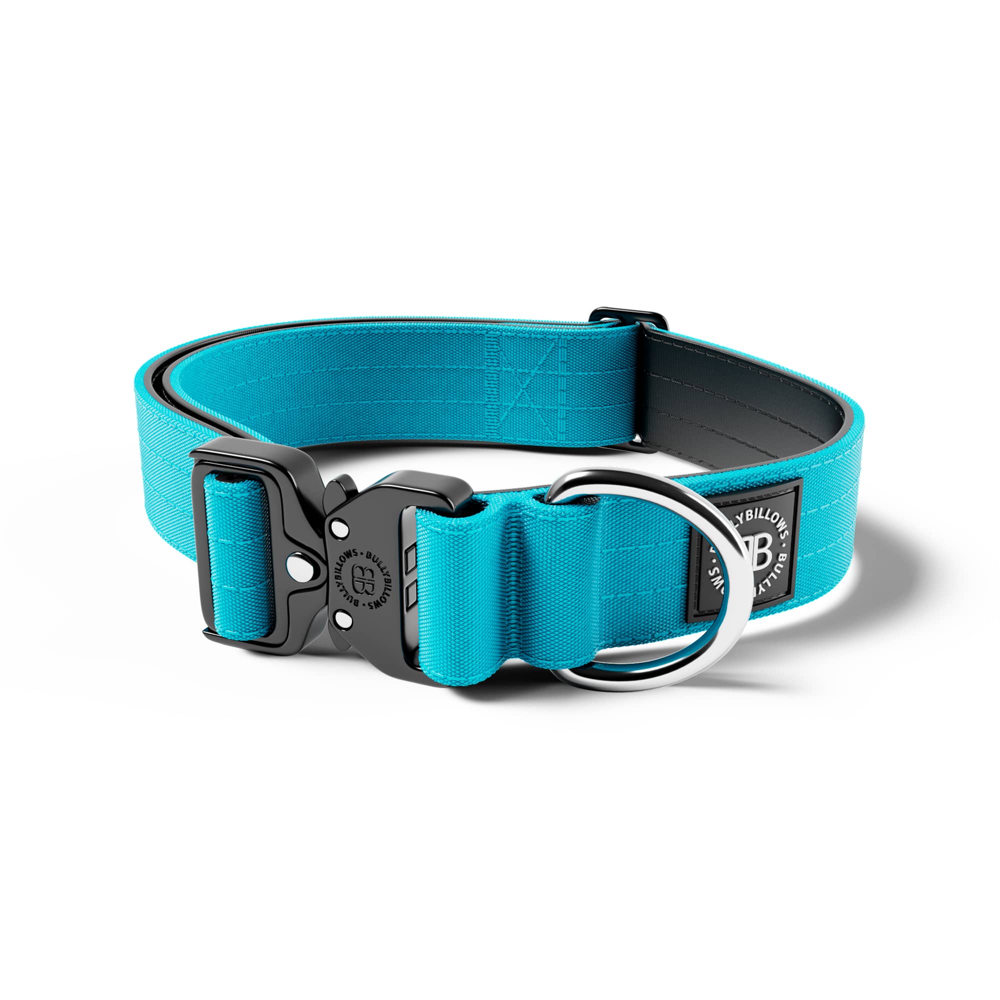 Dog collar deals buckle vs clip