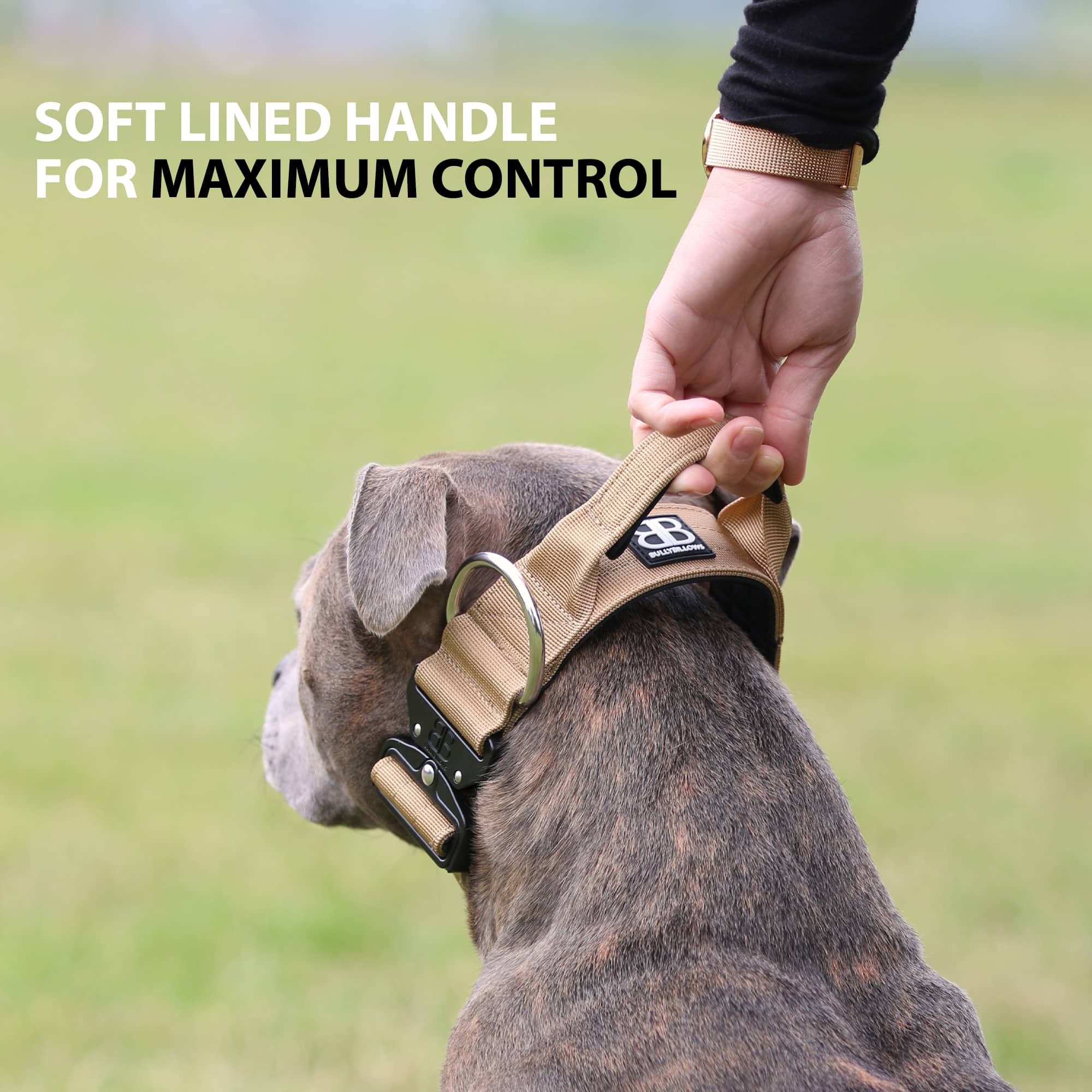 Dog collar deals with handle