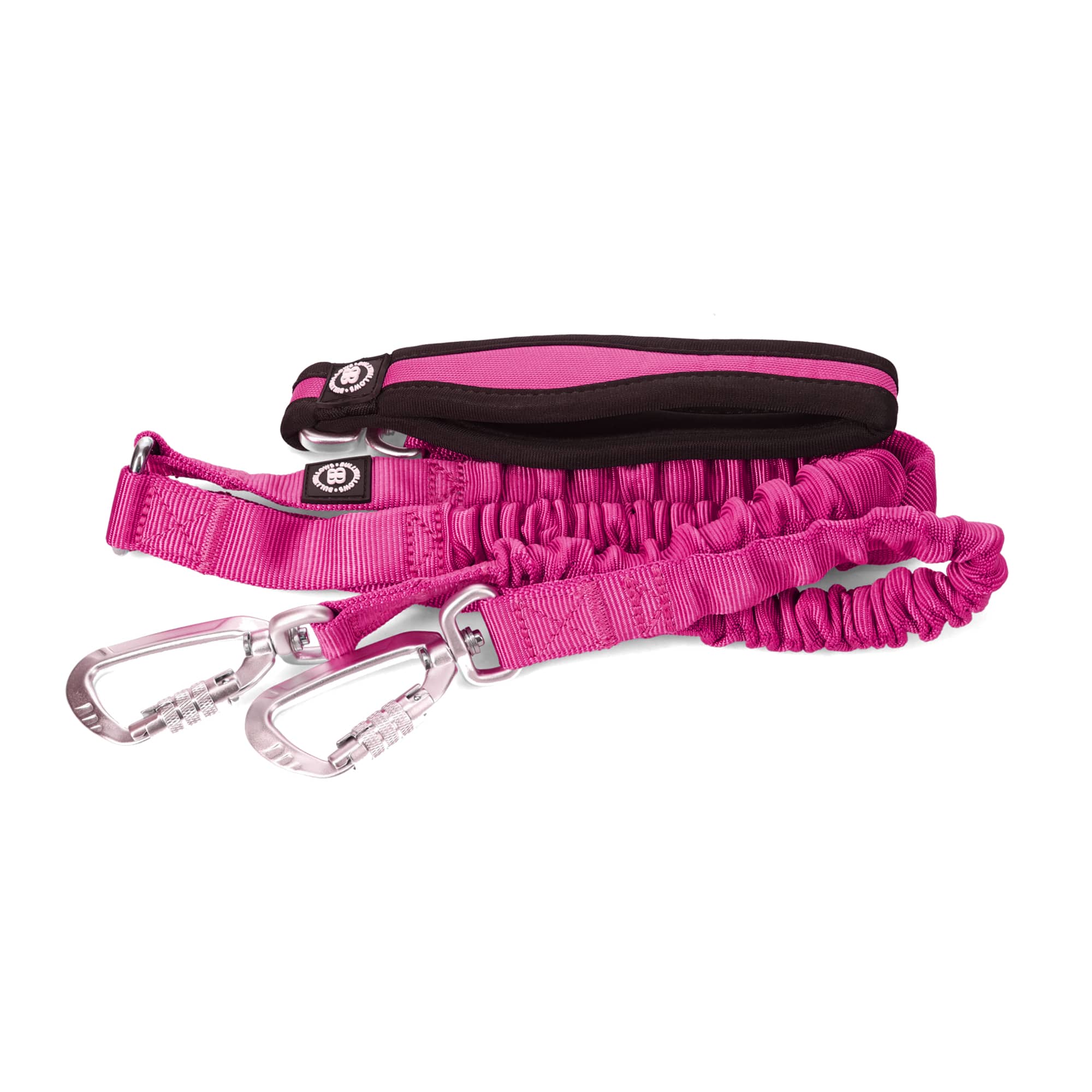 Bungee leash for small hot sale dogs