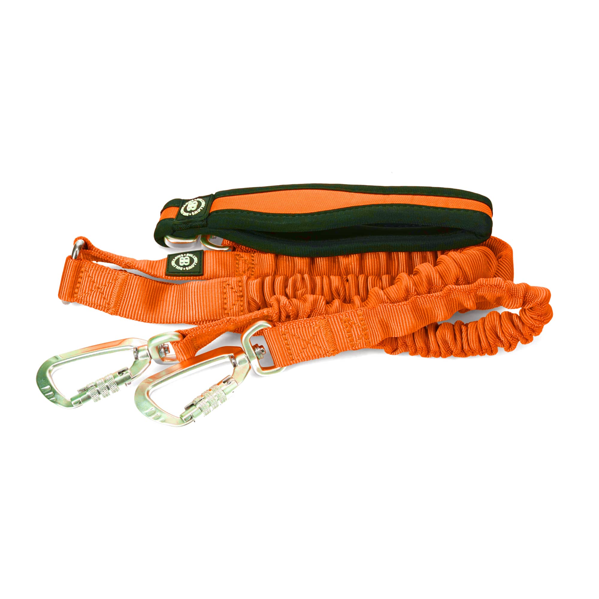 Shock absorbing outlet dog lead