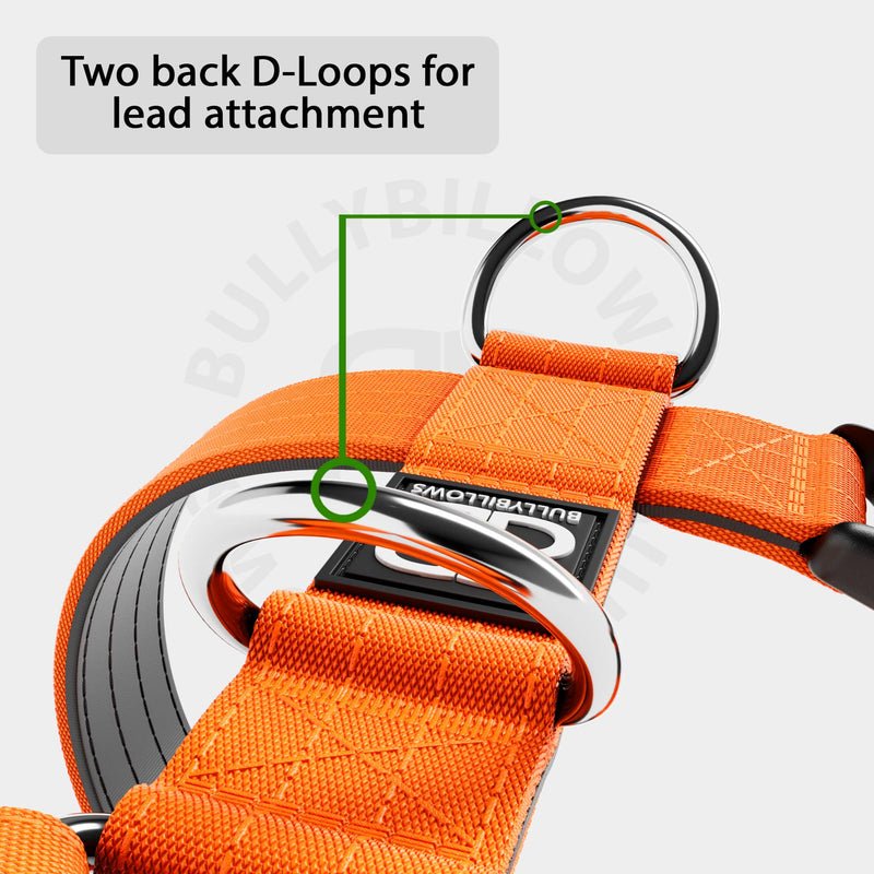 Nylon Snap Hook Lead  Series 2 - Orange – BullyBillows