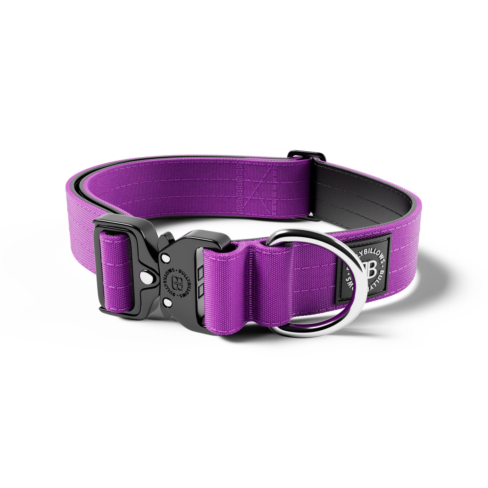 No buckle 2024 dog collar