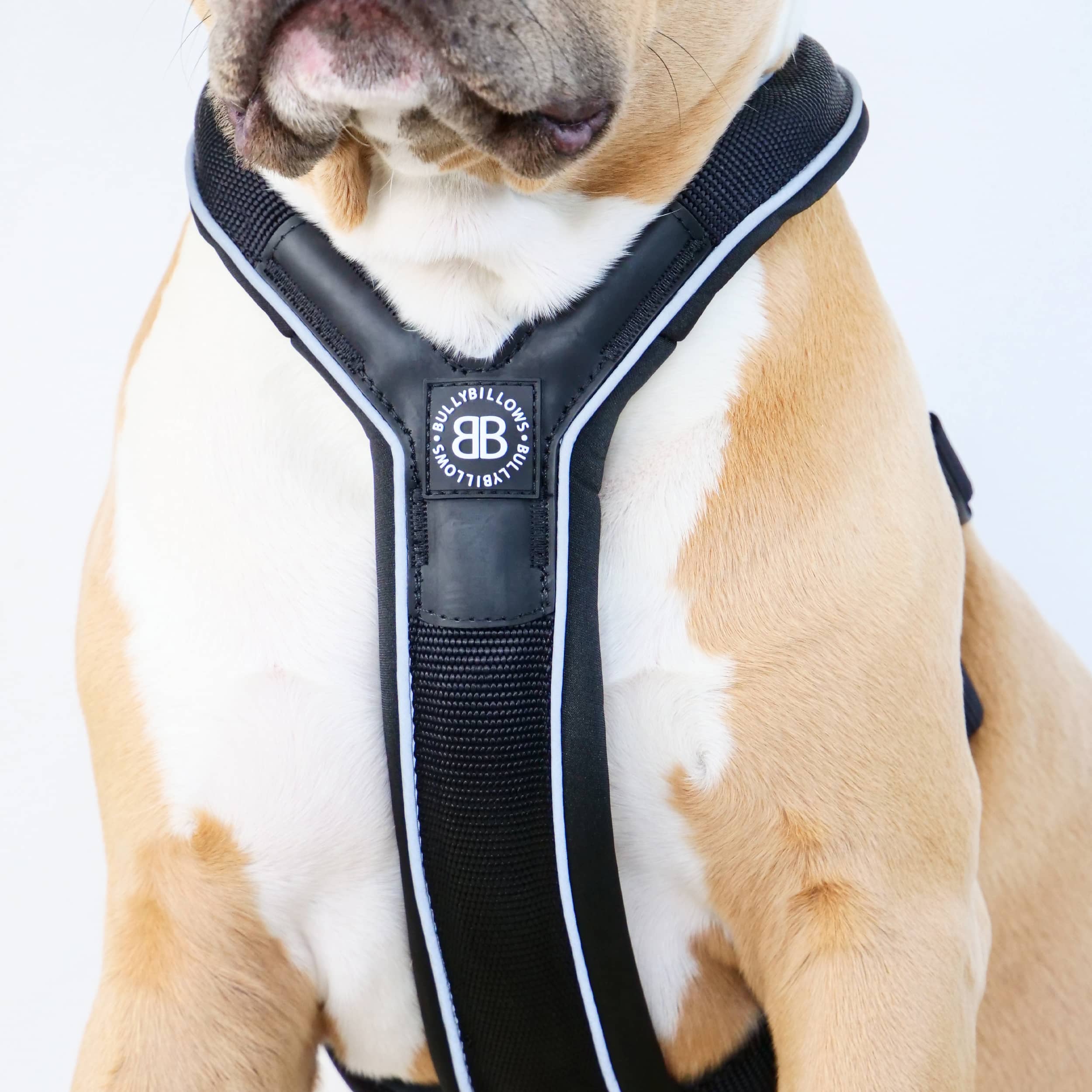 Slip on Padded Comfort Harness | Non Restrictive & Reflective - Red –  BullyBillows