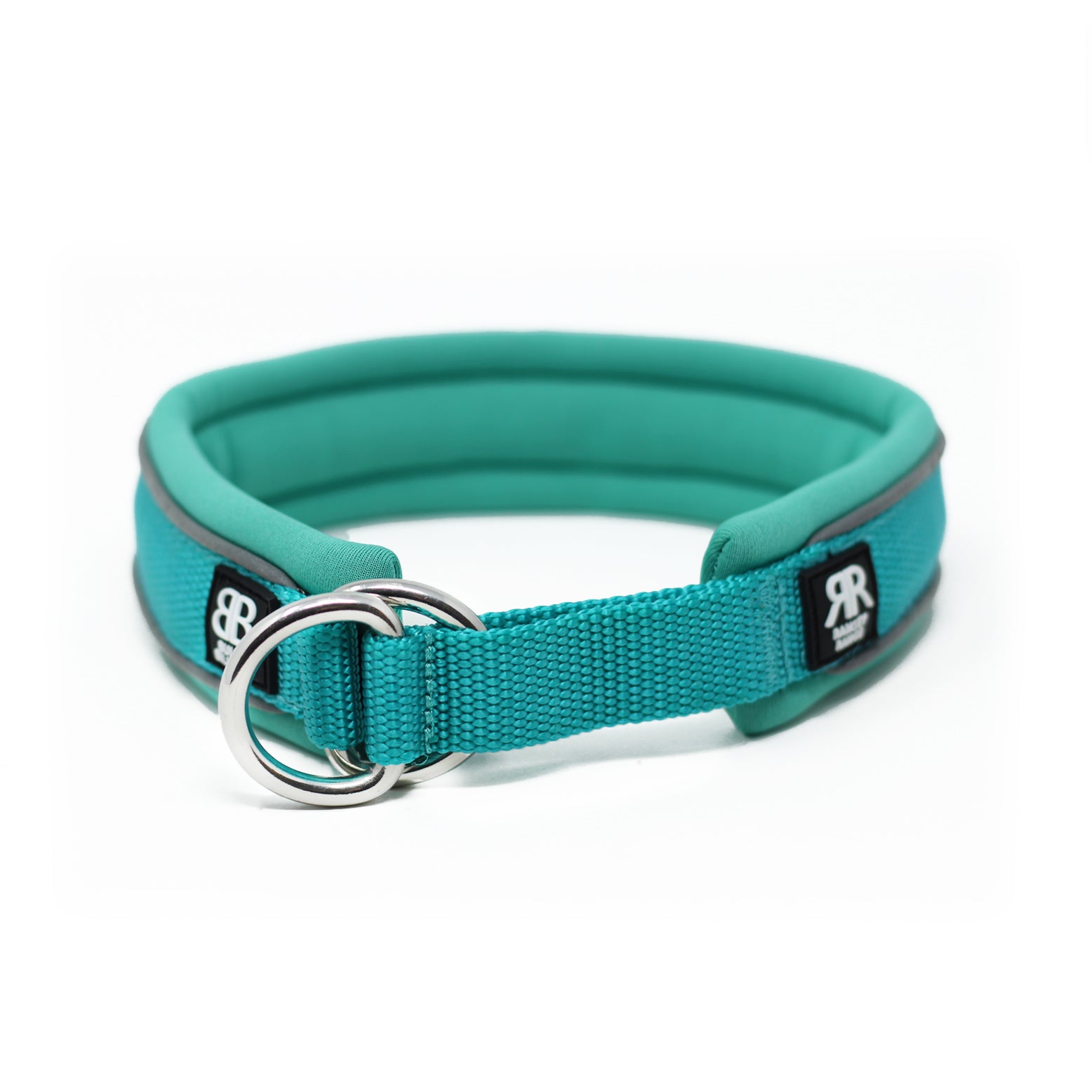 Teal dog best sale collar and leash