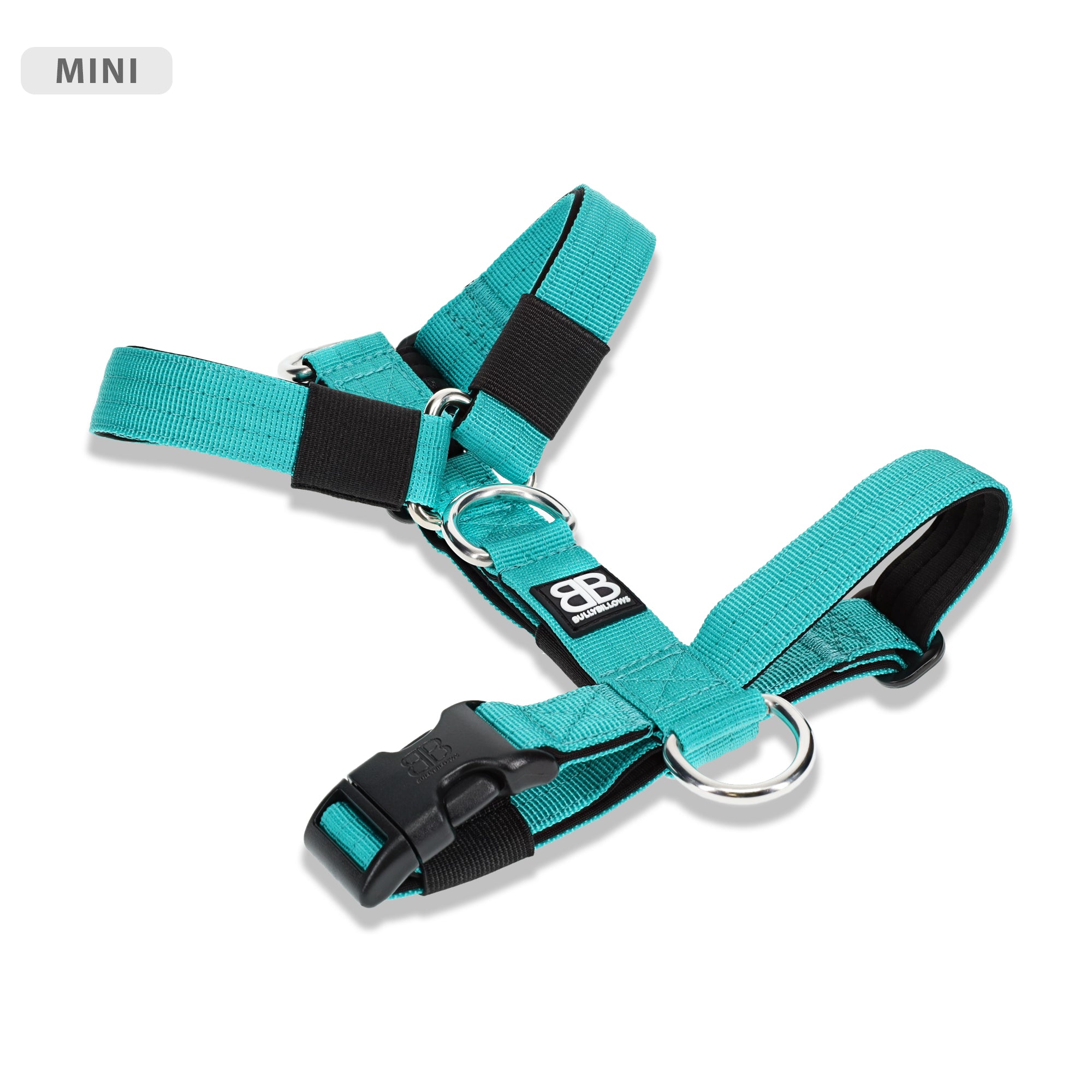 Turquoise sales dog harness